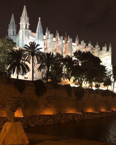 Annika Jann vor der spanischen Kathedrale in Palma bei Nacht. 